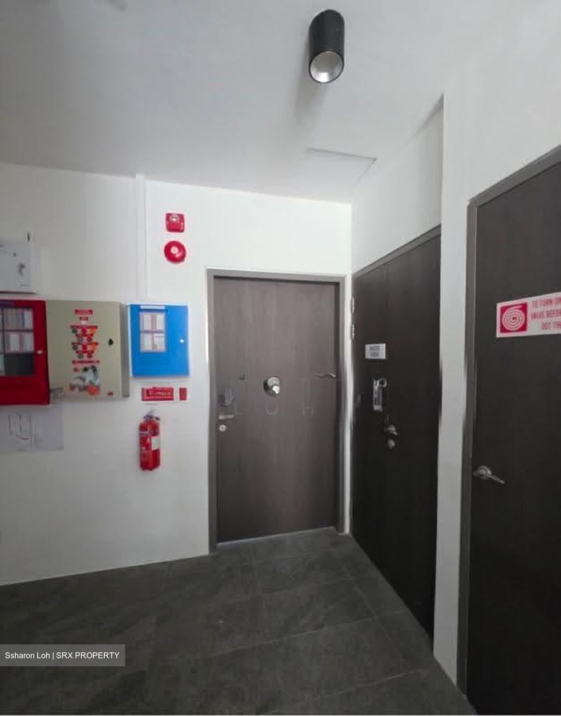 Serangoon Road (D8), Shop House #635516571